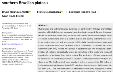 Relevance of field data in the assessment of structural and functional sediment connectivity in a small catchment of southern Brazilian plateau