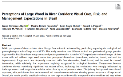 Perceptions of Large Wood in River Corridors: Visual Cues, Risk, and Management Expectations in Brazil